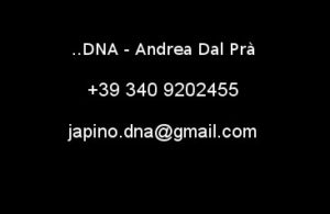 dna-contatto-dna